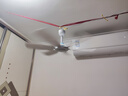 美的（Midea） 小吊扇小型电风扇蚊帐扇家用学生宿舍风扇床上风扇轻音电风扇吊式小电扇 风扇踏青放价 FC45-EB 机械旗舰款 实拍图