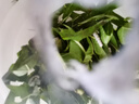 沃绣 蚕宝宝当天发货 蚕宝宝活体蚕卵小蚕彩色蚕桑叶新鲜桑叶养蚕套装 1龄小蚕10条+小盒+桑叶 实拍图