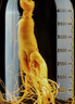 喜碧（Scybe）泡酒容器玻璃泡酒瓶酒坛泡菜坛子10斤装泡酒密封罐青梅酒罐+酒提 实拍图