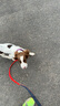 宠小曼狗链狗绳小中型犬宠物牵狗绳带拴遛兔猫咪泰迪链子牛仔牵引绳M码 实拍图