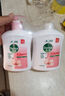 滴露（Dettol）洗手液滋润250g 儿童洗手液抑菌消毒宝宝 水润补充装尝鲜 实拍图