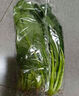 大菠菜300g 实拍图