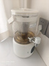 olayks立时 纯钛养生壶 电热水壶 花茶桶聚嗨桶 烧水壶大容量恒温水壶水龙头冷热水壶2.8L OLK-K06 实拍图