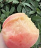 哆莫香无锡水蜜桃特产当季新鲜白凤水蜜桃多汁毛桃整箱水果礼盒中秋送礼 精选优果 4枚【无礼盒】 实拍图