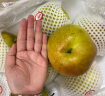 山西隰县 玉露香梨净重约7斤 7-9粒装 单果重350g以上 梨子 生鲜礼盒 新鲜水果 实拍图
