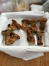 相遇红颜现货24小时达云南特产新鲜野生菌见手青红葱青头菌白葱鸡枞牛肝菌 精品见手青牛肝菌净重 550g 实拍图