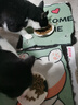 伯纳天纯经典系列通用蓝猫金渐层美短成猫猫粮毛球管理10kg/20斤 实拍图