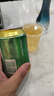 青岛啤酒（TsingTao）经典550ml*18听+精酿白啤500ml*3听 实拍图