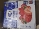 蒙牛纯甄草莓果粒风味酸奶200g×10盒  礼盒装 (新老包装随机发) 实拍图