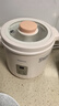 松下（Panasonic）bb煲 婴幼儿辅食煮粥器电炖锅小电饭煲宝宝专用多功能炖盅辅食机 实拍图