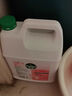 滴露（Dettol）洗手液补充装大桶消毒滋润5L 儿童家庭装杀菌护手 实拍图