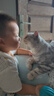普安特宠物猫咪驱虫药体内外同驱幼猫驱虫跳蚤犬虱爱滴克非泼罗尼+内驱 实拍图
