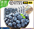 鲜级佳辽宁丹东蓝莓王【多地次日达】新鲜孕妇L25花香蓝莓礼盒怡颗蓝莓 4盒【125g/盒】品质升级-精品果 甄选大果 新鲜升级【单果20mm+】 实拍图