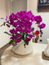 鲜花情大花蝴蝶兰盆栽带花盆【专人送花到家】乔迁送爸妈长辈同事盆栽 6株紫色蝴蝶兰-底盆随机可选 今日达-同城配送到家-可预定 实拍图