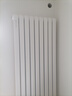 圣劳伦斯暖气片家用水暖壁挂式全屋采暖客厅卧室定制钢制暖气片柱式大水道 钢制60D单片宽 60mm*1柱 高1800mm(3柱起订) 实拍图