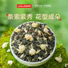 乐品乐茶茉莉花茶特级茶叶川派浓香型花草茶横县飘雪250g新茶茉莉绿茶 实拍图