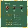 星巴克（Starbucks）胶囊咖啡 焦糖风味轻烘黑咖啡 5.1g*10颗 适配Nespresso胶囊机 实拍图