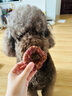 疯狂小狗宠物狗狗零食磨牙棒洁齿 小型犬洁齿甜甜圈鸭肉味80g（40g*2） 实拍图