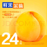蒙牛（MENGNIU）纯甄黄桃果粒风味酸奶 200g*10盒 礼盒装 实拍图
