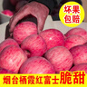 脆甜烟台红富士苹果丑苹果大果栖霞红富士苹果平果当季应季水果 山东烟台苹果 净4斤85mm+ 实拍图