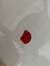 皇家搭档猫条猫零食三种口味混合装猫条成猫幼猫猫条156g（13g*12支）一袋 实拍图