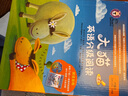 大猫英语分级阅读六级套装 Big Cat（小学四、五年级 读物20册+家庭阅读指导3册 点读版 附扫码音频） 实拍图