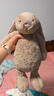 Jellycat害羞米色邦尼兔毛绒玩具柔软安抚玩偶公仔送礼潮玩娃娃生日礼物 米色 Large 实拍图