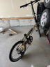 大行（DAHON）折叠自行车20英寸8级变速经典P8单车KBC083 消光绿高配款-京仓 实拍图