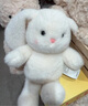 名创优品（MINISO）塔妮兔乖乖坐姿公仔毛绒玩具玩偶抱枕娃娃送女友告白生日礼物女 实拍图
