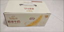 伊利10月产伊利谷粒多燕麦牛奶200ml*12盒整箱燕麦成人营养早餐奶 10月产谷粒多燕麦12盒*200ml 实拍图