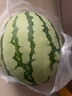 正宗南汇8424西瓜皮薄汁多现摘现发4.5斤-12斤 单果4斤-8斤 4斤-5.5斤带箱重量 实拍图