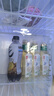 农夫山泉 东方树叶绿茶500ml*15瓶 0糖0脂0卡无糖饮料茶饮料 礼盒 实拍图