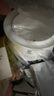 小白熊SnowBear婴儿温奶器 恒温暖奶器 母乳解冻 奶瓶热奶器多功能加热辅食-5062 实拍图