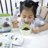 不二宝贝DHA鳕鱼肉松海苔碎拌饭36g儿童零食无添加蔗糖宝宝辅食 实拍图