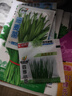 蔬菜种子四季播盆栽阳台庭院香菜生菜菠菜萝卜葱简单易种籽孑大全 四季玻璃生菜约290粒 实拍图