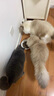 伯纳天纯鸡肉冻干肉松牛肉粒三拼美毛猫粮1.5kg 实拍图