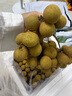 长生之脉东方苏打天然苏打水克东无糖无气饮用水475ml*12瓶0添加兰亭限定 实拍图