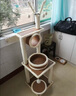 MinkSheen猫爬架【加粗加高款】大型猫窝猫爬架夏天宠物猫玩具猫抓板猫跳台 1.2m【全剑麻三层加粗款】 实拍图