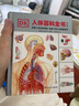 DK人体百科全书（精致版）   图书开学季 图书开工开学季 送礼好物 小学生推荐书单 实拍图