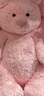 Jellycat害羞粉色邦尼兔动物毛绒玩偶安抚公仔娃娃生日婚礼礼物 粉红色 H31 X W12 CM 实拍图