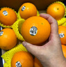 新奇士（Sunkist）美国黑标晚熟脐橙4斤礼盒装 单果180g起 生鲜水果 实拍图