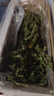 喜帅 烘干胡萝卜缨幼兔粮牧草垂耳兔粮干草龙猫豚鼠饲料500g净重/箱 实拍图