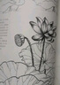 2册《花卉动物速写描摹本》零基础画画入门新手自学教程书籍线描花卉临摹手绘初学者学绘画教材铅笔画素描速写 实拍图