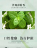 竹盐 LG水漾桃花盐牙膏285g（桃花沁香）清新口气 护龈防蛀 洁白牙齿 实拍图