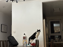 网易严选猫粮【推荐】红肉盛宴全价猫粮 全阶段主粮红肉牛羊肉配方高蛋白 【囤货】 1.8kg*4袋 实拍图