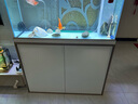 森森（SUNSUN）鱼缸水族箱客厅免换水风水家用金鱼缸 1米长 34.6cm宽 时尚底滤(黑白灰可选) 实拍图