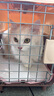 普安特宠物猫咪驱虫药驱虫体内体外驱虫跳蚤犬虱非泼罗尼爱滴克套装 实拍图