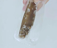 辽参大连有机冷冻海参3斤30-36只非即食京东自营礼盒装独立包装正品 实拍图