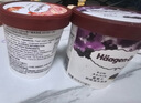 哈根达斯（Haagen-Dazs）经典香草味大桶冰淇淋 473ml/桶 雪糕 实拍图
