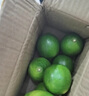 海南小金桔青金桔柠檬莫吉托新鲜水果奶茶店专用调味品单果5g-10g 带箱1斤起（净重0.7斤）约40-80个 实拍图